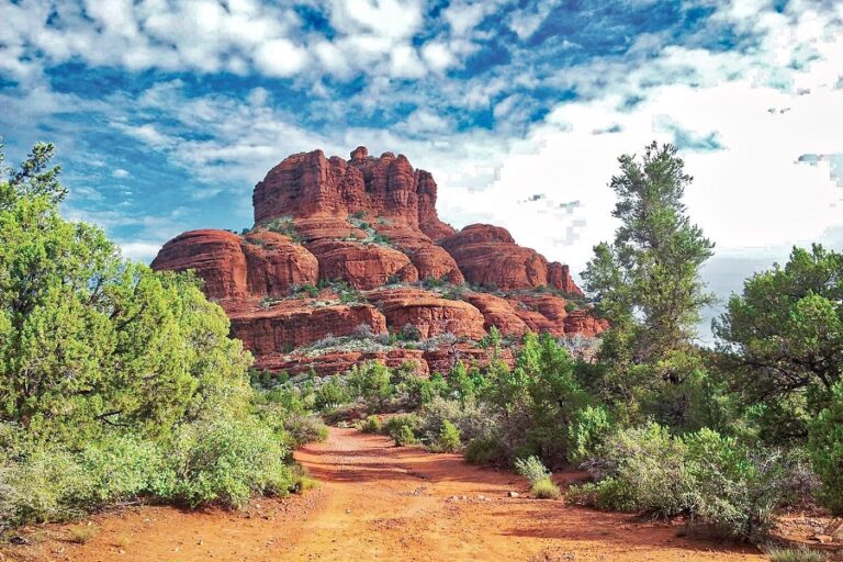 Turn your idea of a museum inside out at the Arizona Desert Museum